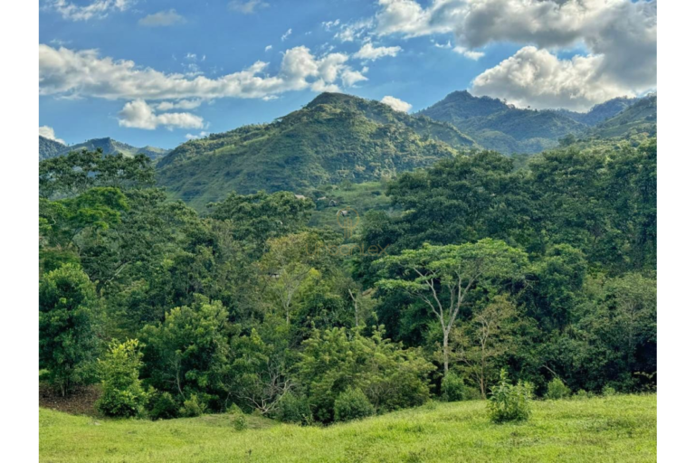 UrbanLex vende lote rural-Villeta, área 8.116m2 $260Millones
