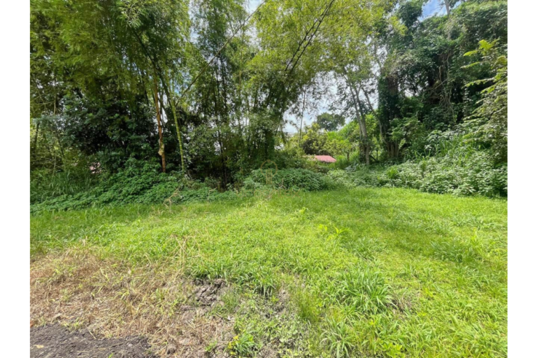 UrbanLex vende lote conjunto campestre área 615m2 $220Millones