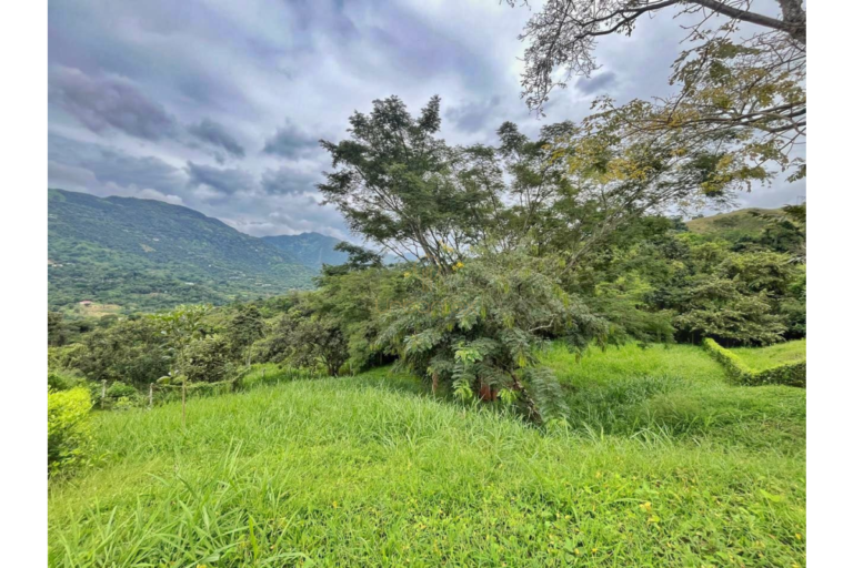 UrbanLex vende lote condominio área 2.740m2 $700Millones