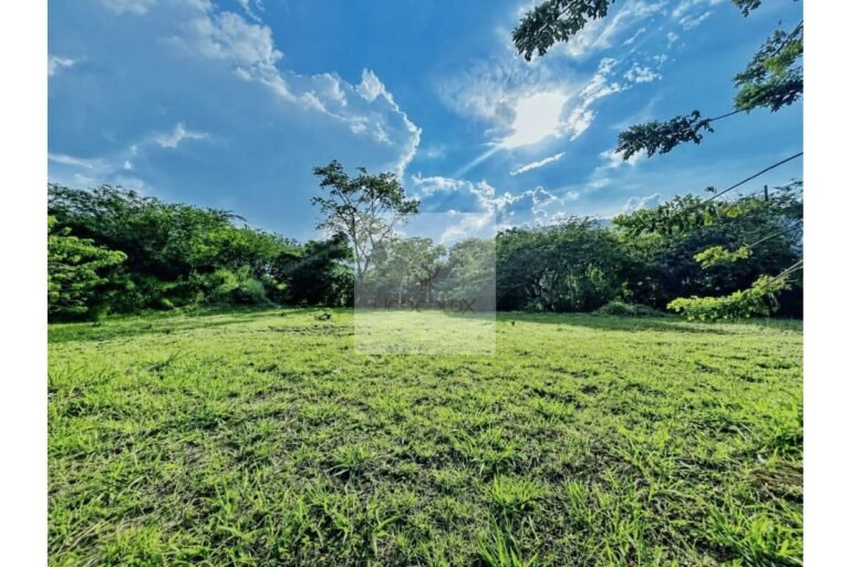 UrbanLex vende lote Nimaima, área 8.000m2 $450Millones