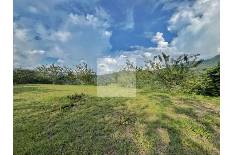 UrbanLex vende lote Nimaima, área 8.000m2 $450Millones