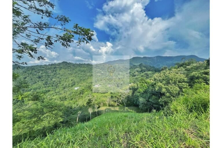 UrbanLex vende lote Nimaima, área 8.000m2 $450Millones