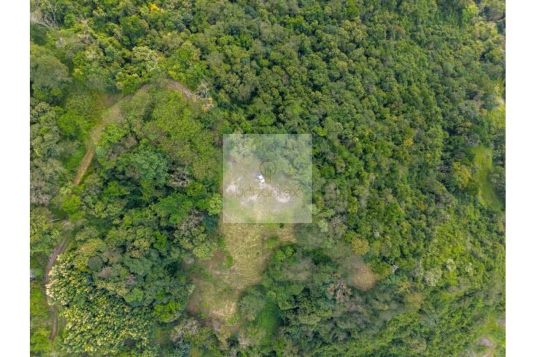 UrbanLex vende lote Nimaima, área 8.000m2 $450Millones