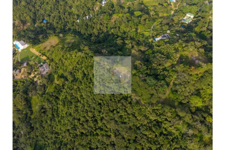 UrbanLex vende lote Nimaima, área 8.000m2 $450Millones