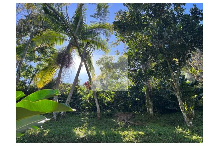 Finca en venta La Vega, UrbanLex area 19000 m2 $746Millones