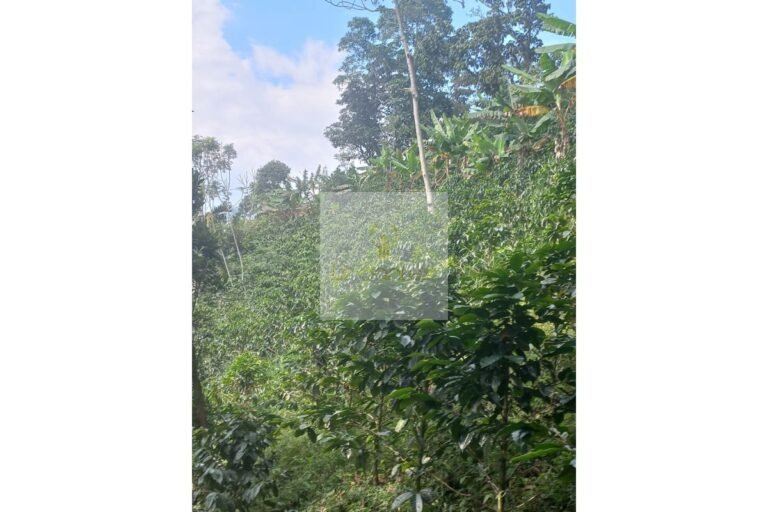 Finca en venta La Vega, UrbanLex area 19000 m2 $746Millones
