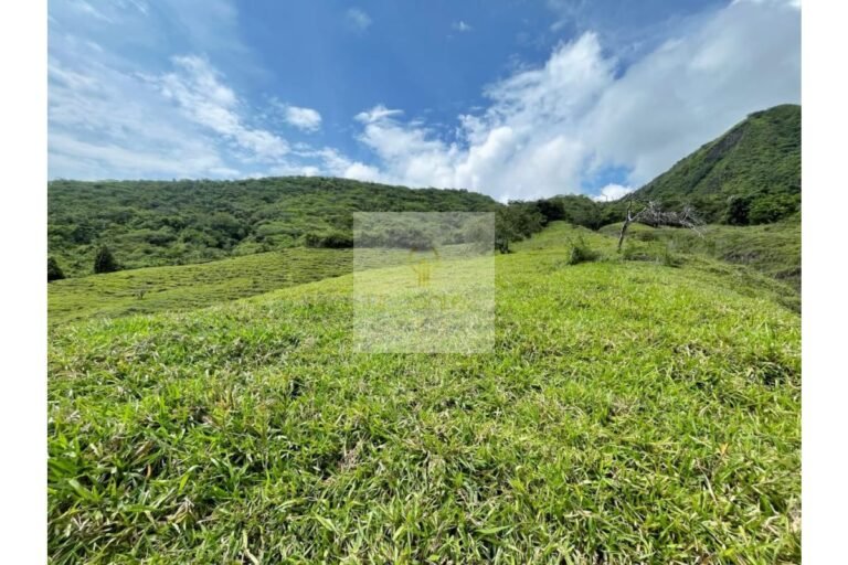 Vende finca Utica, UrbanLex área 47.000m2 $700Millones