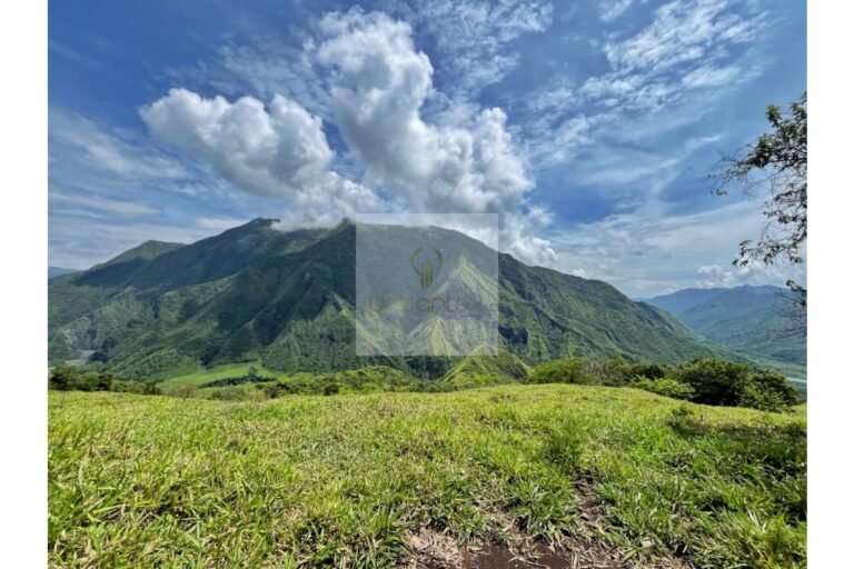 Vende finca Utica, UrbanLex área 47.000m2 $700Millones