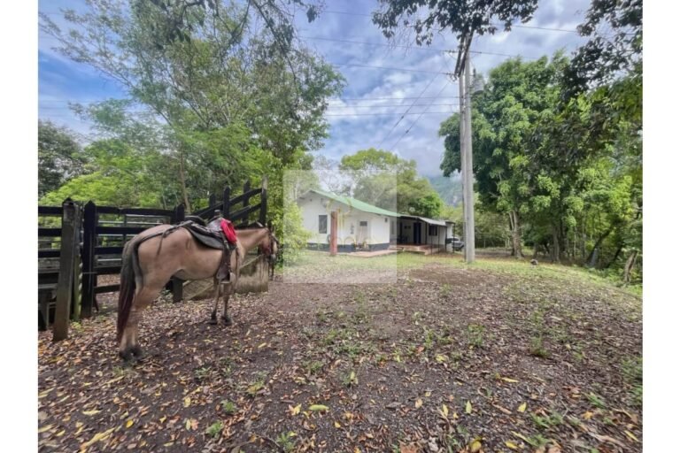 Vende finca Utica, UrbanLex área 47.000m2 $700Millones