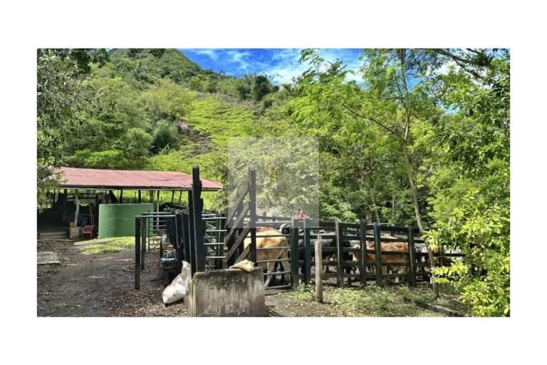 Vende finca Utica, UrbanLex área 47.000m2 $700Millones