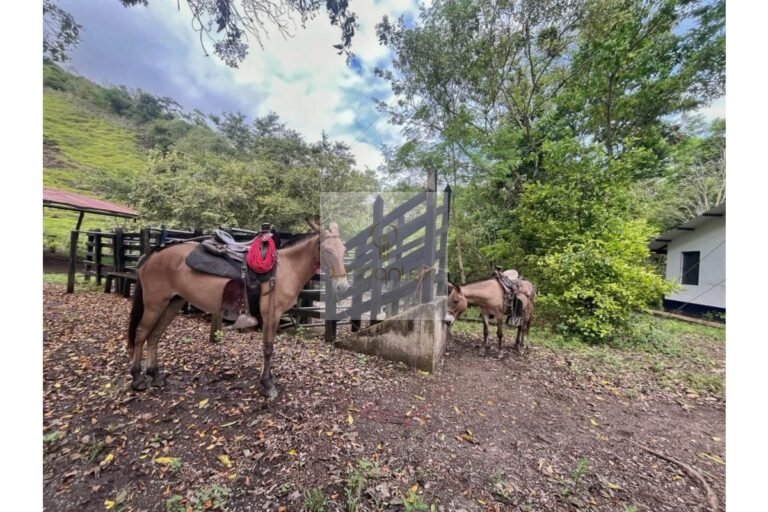 Vende finca Utica, UrbanLex área 47.000m2 $700Millones