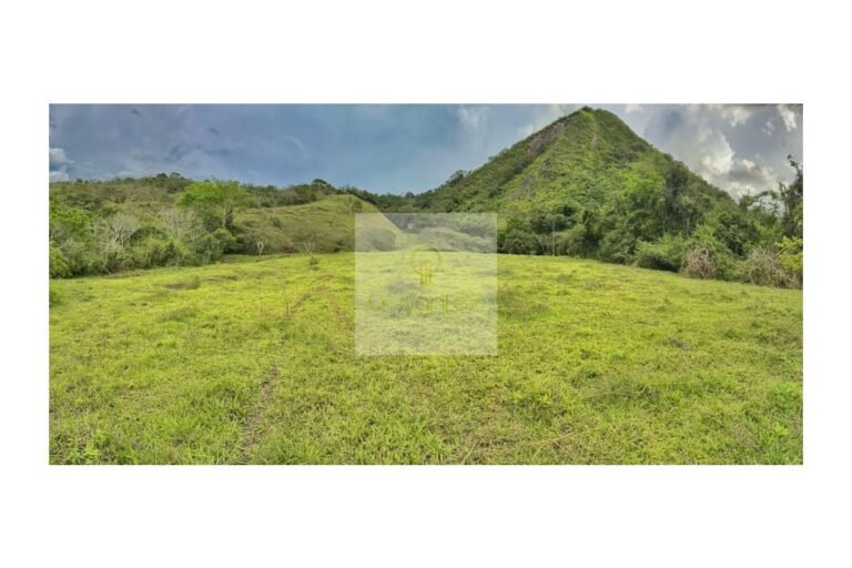 Vende finca Utica, UrbanLex área 47.000m2 $700Millones