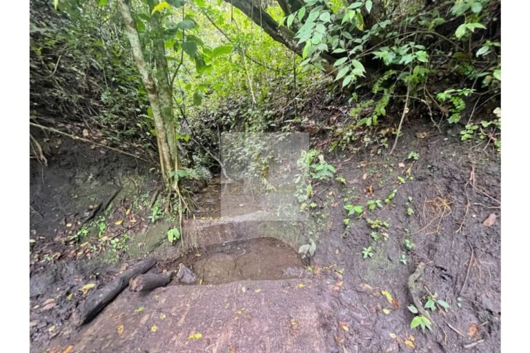 Vende finca Utica, UrbanLex área 47.000m2 $700Millones