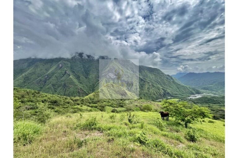 Vende finca Utica, UrbanLex área 47.000m2 $700Millones
