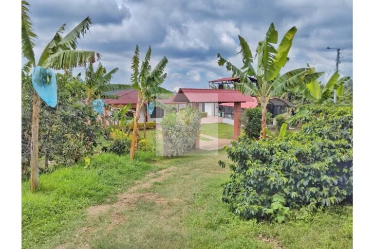 UrbanLex vende finca productiva área 37.440m2 $750Millones
