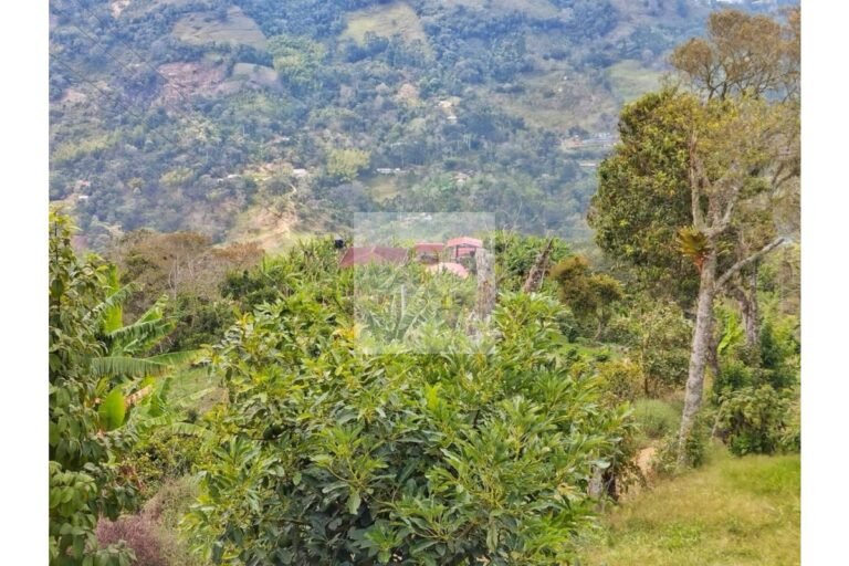 UrbanLex vende finca productiva área 37.440m2 $750Millones