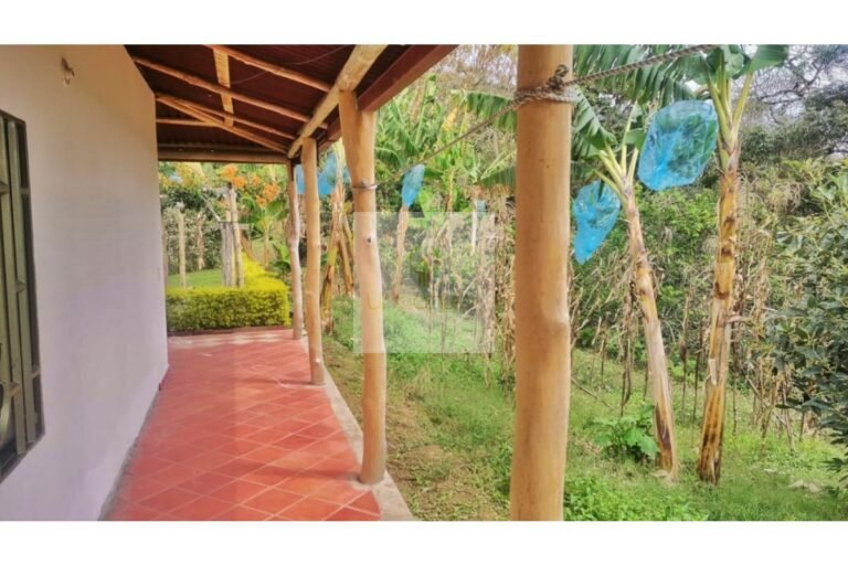 UrbanLex vende finca productiva área 37.440m2 $750Millones