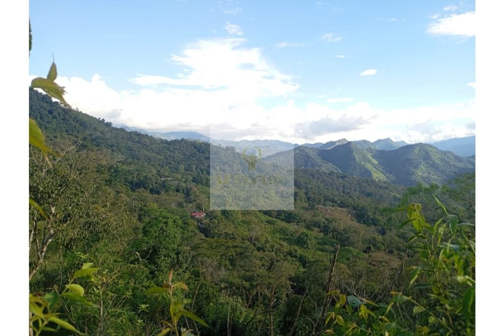 Vende lote Guayabal de Síquima, UrbanLex área 38.682m2 $550 Millones