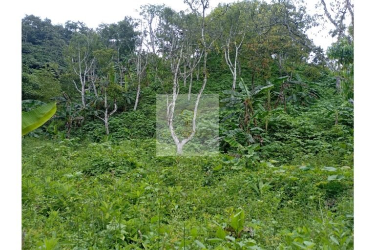 Vende lote Guayabal de Síquima, UrbanLex área 38.682m2 $550 Millones