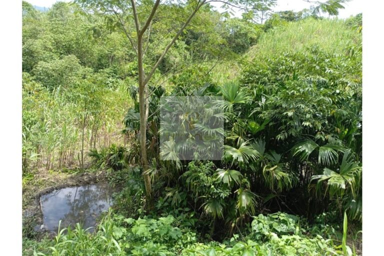 Vende lote Guayabal de Síquima, UrbanLex área 38.682m2 $550 Millones
