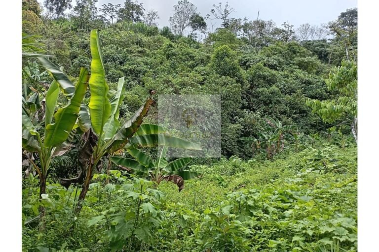 Vende lote Guayabal de Síquima, UrbanLex área 38.682m2 $550 Millones