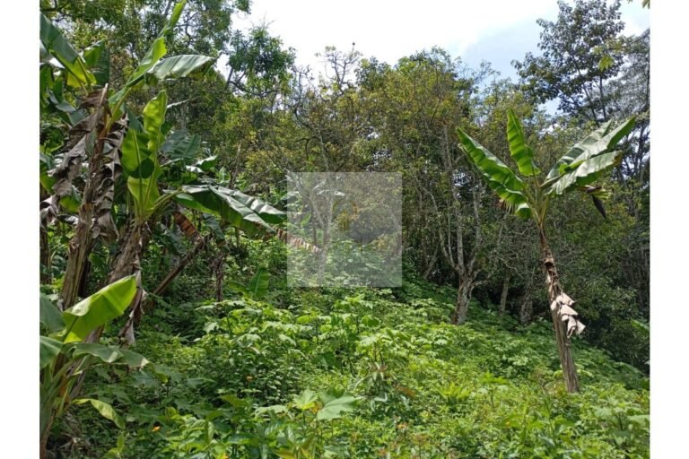 Vende lote Guayabal de Síquima, UrbanLex área 38.682m2 $550 Millones
