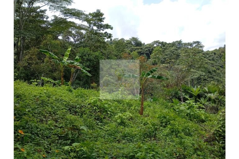 Vende lote Guayabal de Síquima, UrbanLex área 38.682m2 $550 Millones