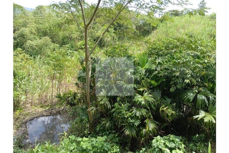 Vende lote Guayabal de Síquima, UrbanLex área 38.682m2 $550 Millones