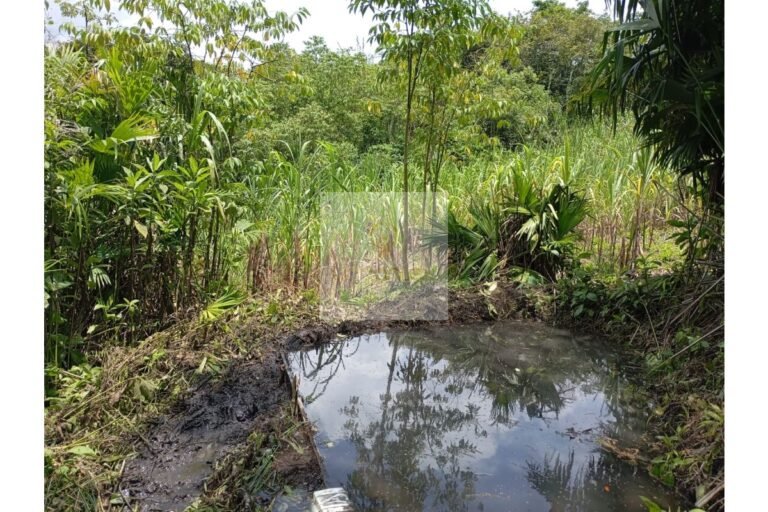 Vende lote Guayabal de Síquima, UrbanLex área 38.682m2 $550 Millones