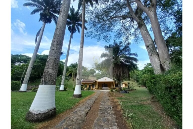Vende finca Cune, UrbanLex área 32.000m2 $1.200Millones