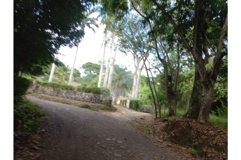 Vende finca Cune, UrbanLex área 32.000m2 $1.200Millones
