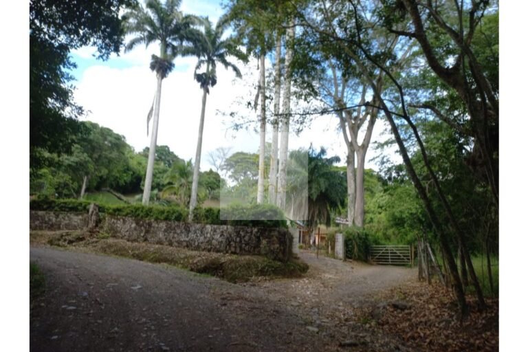 Vende finca Cune, UrbanLex área 32.000m2 $1.200Millones
