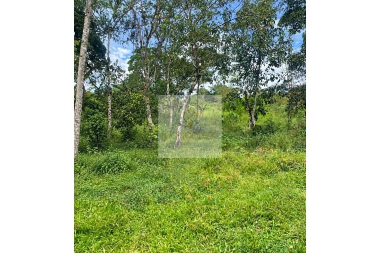 Vende lote campestre Villeta cund, UrbanLex área 19.200m2 $450 millones