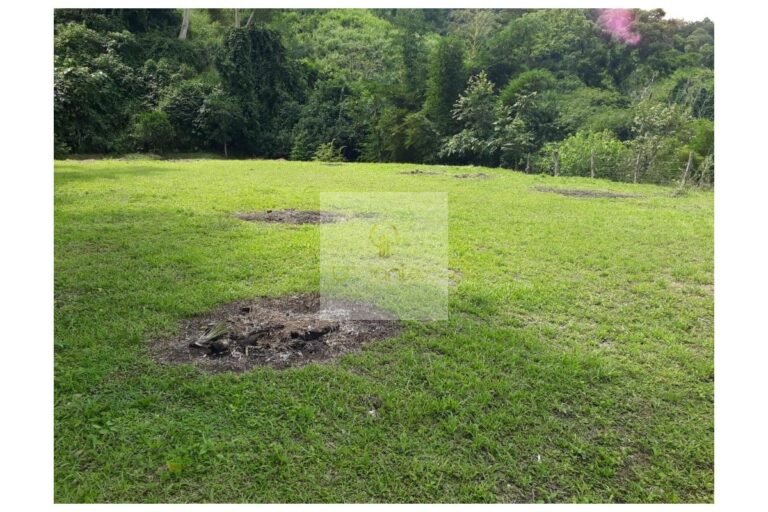 Vende lote Villeta, UrbanLex área 1.700m2 $350millones