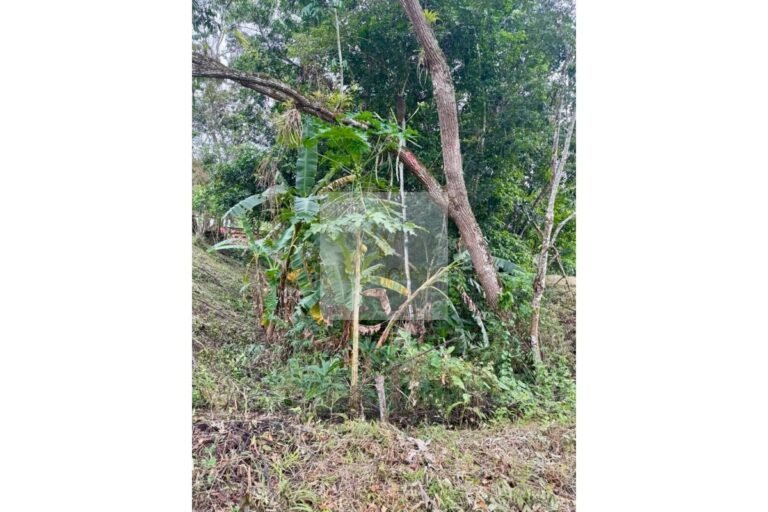 Vende lote Tobia, UrbanLex área 8.000m2 $450 millones