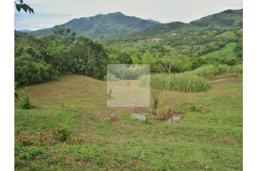 Vende Lote en Salitre Negro, Urbanlex área 39.115 M2 $1.100 Millones
