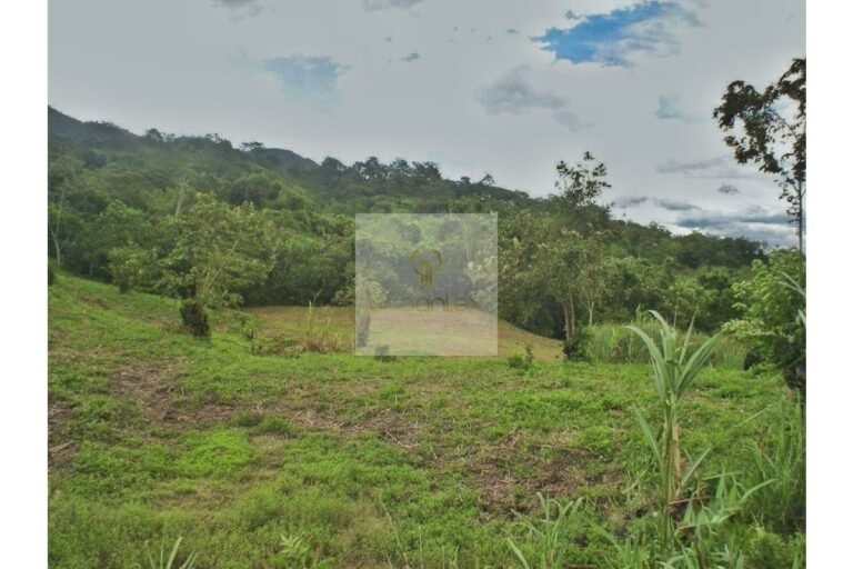 Vende Lote en Salitre Negro, Urbanlex área 39.115 M2 $1.100 Millones