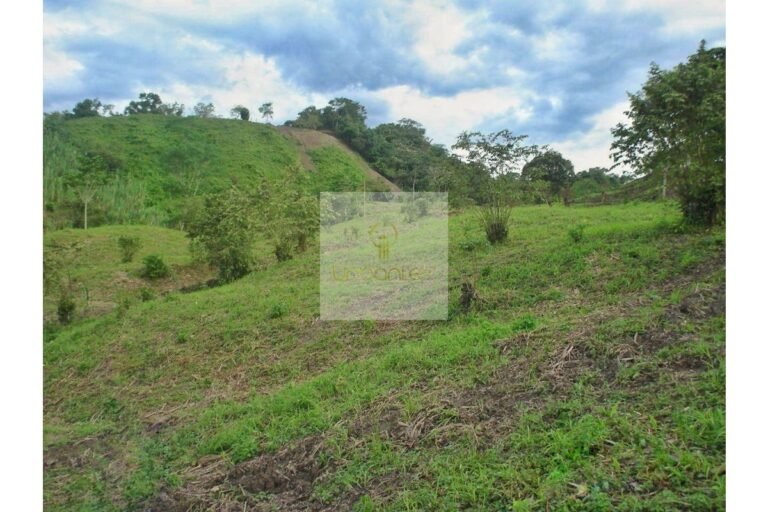 Vende Lote en Salitre Negro, Urbanlex área 39.115 M2 $1.100 Millones