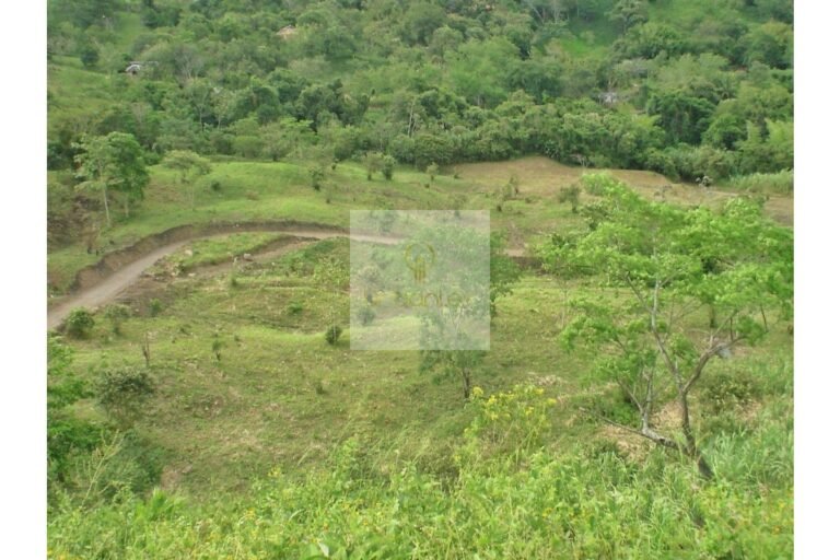 Vende Lote en Salitre Negro, Urbanlex área 39.115 M2 $1.100 Millones