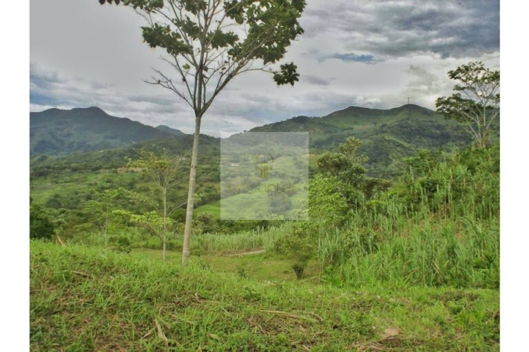 Vende Lote en Salitre Negro, Urbanlex área 39.115 M2 $1.100 Millones