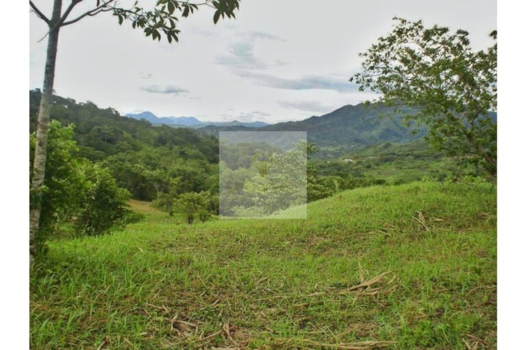 Vende Lote en Salitre Negro, Urbanlex área 39.115 M2 $1.100 Millones