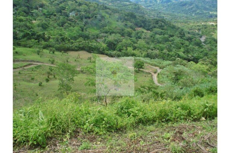 Vende Lote en Salitre Negro, Urbanlex área 39.115 M2 $1.100 Millones