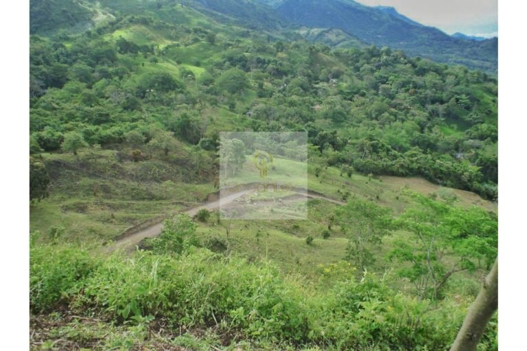 Vende Lote en Salitre Negro, Urbanlex área 39.115 M2 $1.100 Millones