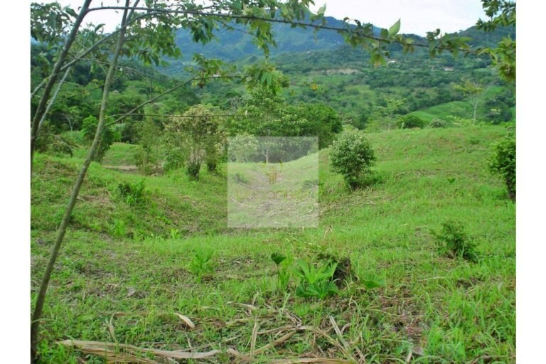 Vende Lote en Salitre Negro, Urbanlex área 39.115 M2 $1.100 Millones