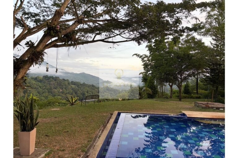 Vende Finca en Salitre Negro, Urbanlex área 31.170M2 $1.600Millones